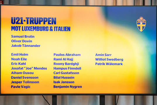 The hole squad of the Swedish U21 national football team