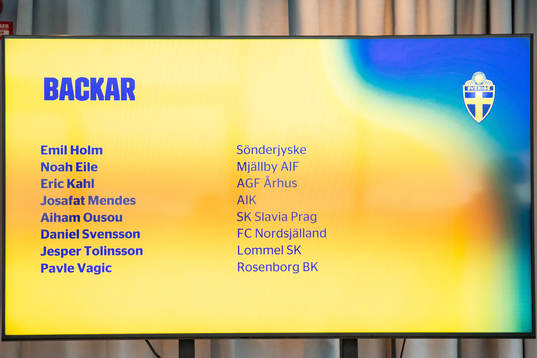 Defenders of the Swedish U21 national football team