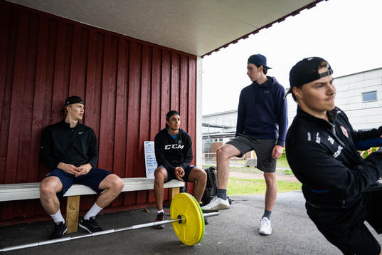 Detroit Red Wings Simon Edvinsson och Västerviks Hugo