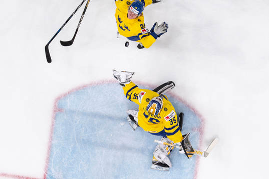Rasmus Dahlin and goaltender Linus Ullmark of Sweden
