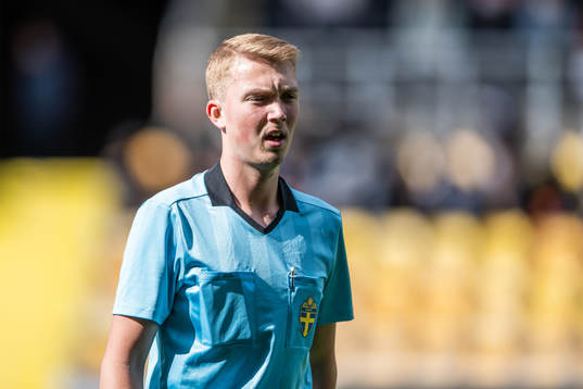 Domare Simon Larsson