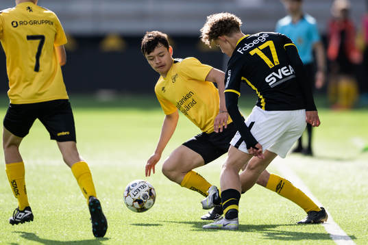 Elfsborgs Dag Hallgren