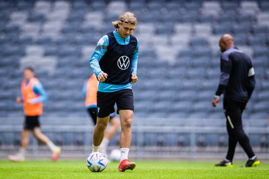 Malmö FFs Sebastian Nanasi