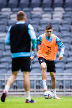 Malmö FFs Dennis Hadzikadunic