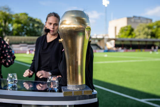 Svenska cupen pokalen