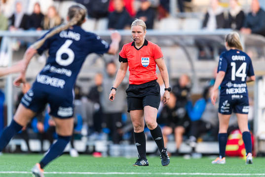 Domare Sara Persson