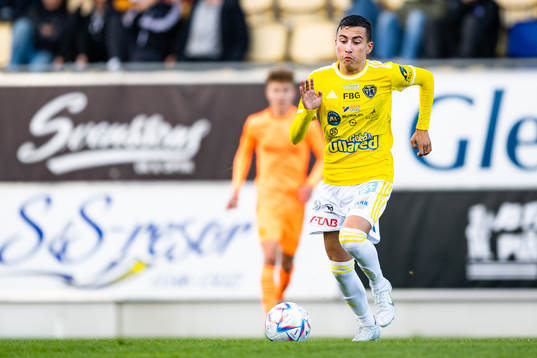 Falkenbergs Sewen Emilov