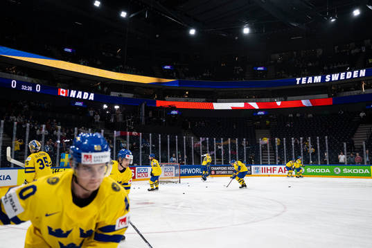 Players of Sweden