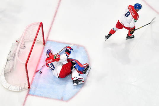 Goaltender Karel Vejmelka  and David Sklenicka of Czech