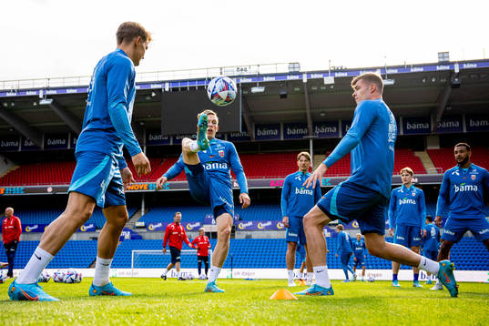 Marcus Holmgren Pedersen and Alexander Sørloth of the