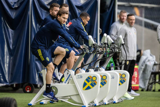 Hjalmar Ekdal of the Swedish national football team