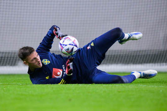 Goalkeeper Andreas Linde of the Swedish national football
