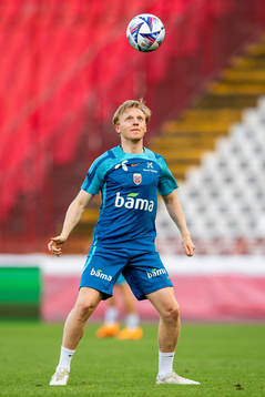 Mats Møller Dæhli of the Norwegian national football team
