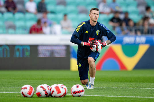 Goalkeeper Andreas Linde of Sweden