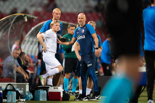 Mats Møller Dæhli and Ståle Solbakken, head coach of