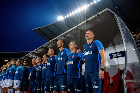 Thomas Ødegaard, manual therapist, Ola Sand, doctor, Are