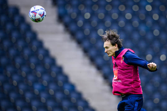 Hjalmar Ekdal of the Swedish national football team