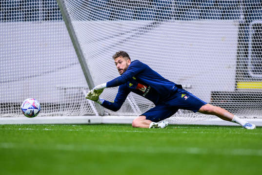 goalkeeper Kristoffer Nordfeldt of the Swedish national