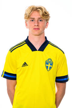 Ludvig Richtnér i P17-landslaget