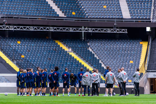 Players and coaches of the Swedish national football team