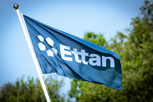 Flagga med Ettan