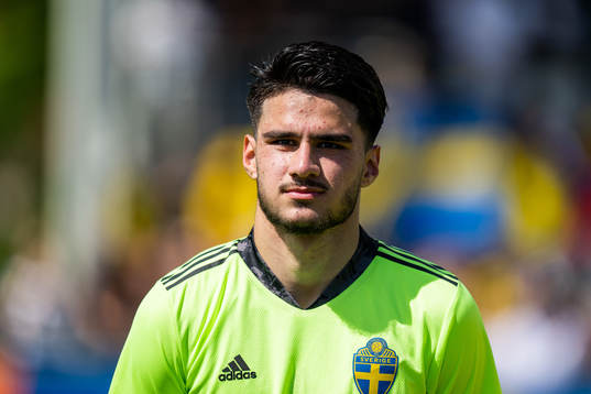 Sveriges målvakt Daniel Henareh