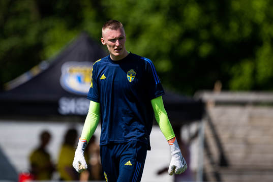 Sveriges målvakt Alexander Sandahl