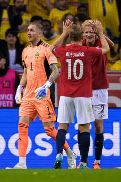 Goalkeeper Robin Olsen of Sweden looks dejected as Martin