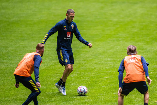 Branimir Hrgota of the Swedish national football team