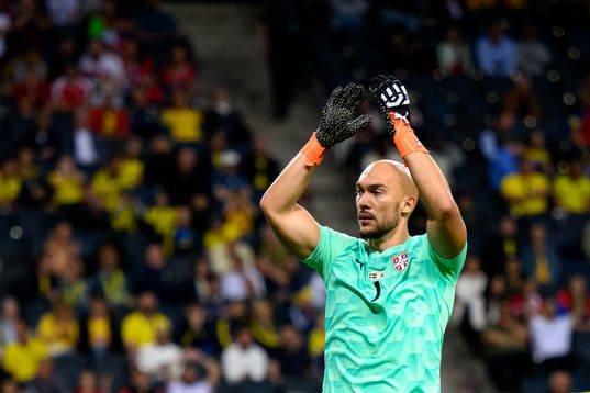 Goalkeeper Marko Dmitrovic of Serbia reatcs