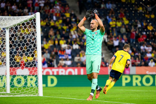 Goalkeeper Marko Dmitrovic of Serbia reatcs