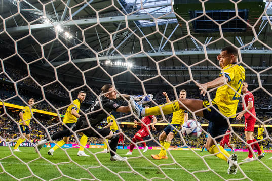Nikola Milenkovic of Serbia scores 0-1 behind goalkeeper