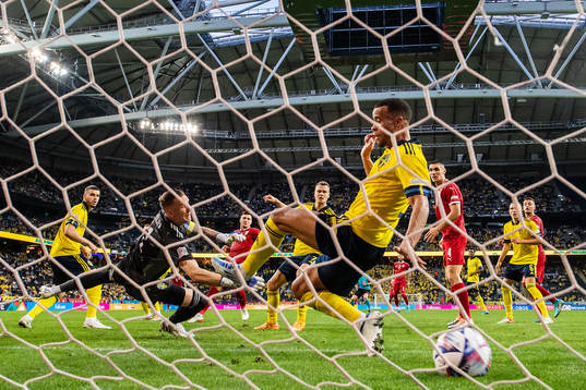 Nikola Milenkovic of Serbia scores 0-1 behind goalkeeper
