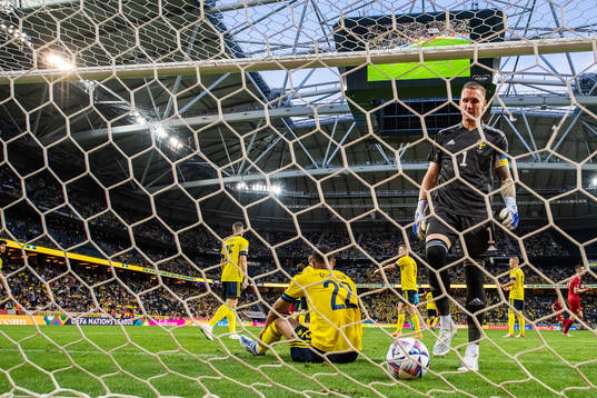Nikola Milenkovic of Serbia scores 0-1 behind goalkeeper