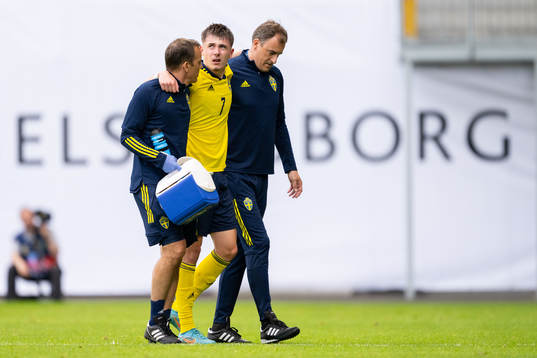 Patrik Wålemark of Sweden in pain