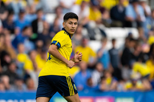 Roony Bardghji of Sweden