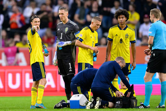 Kristoffer Olsson, goalkeeper Robin Olsen, Ludwig