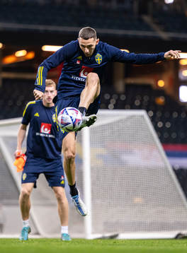 Branimir Hrgota of the Swedish national football team