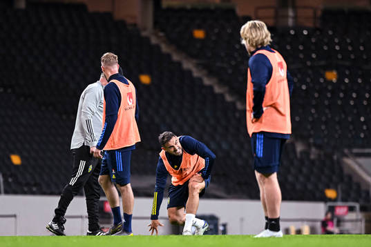Sotirios Papagiannopoulos in pain of the Swedish national