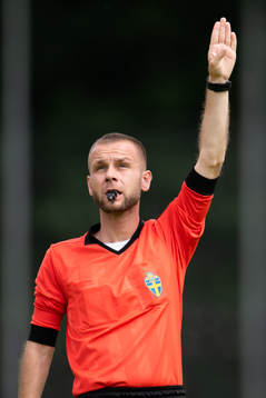 Domare Ismar Huremovic