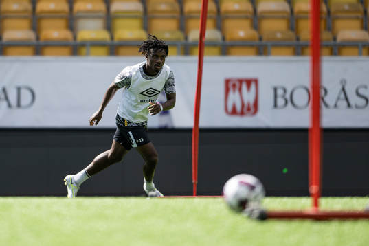 Michael Baidoo
