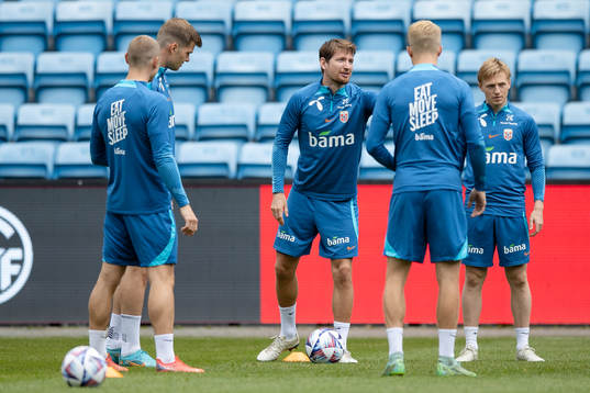 Stefan Strandberg of the Norwegian national football team