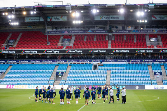 Staff and players of the Swedish national football team