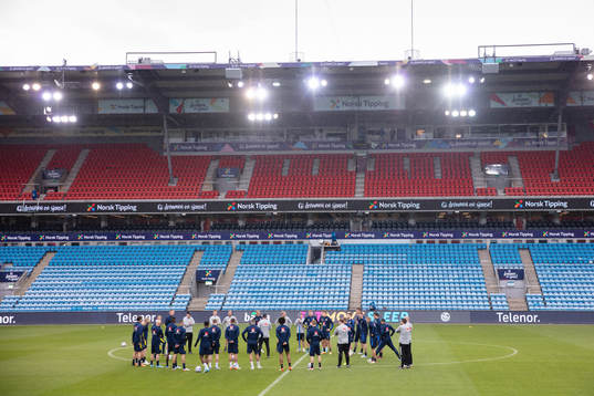 Staff and players of the Swedish national football team
