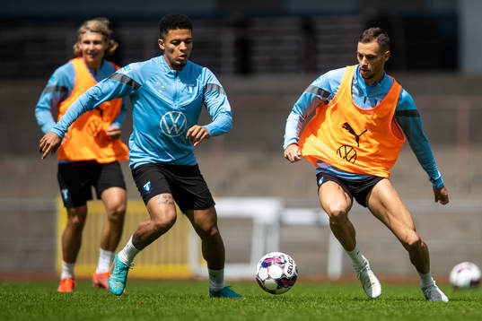 Romain Gall och Veljko Birmancevic