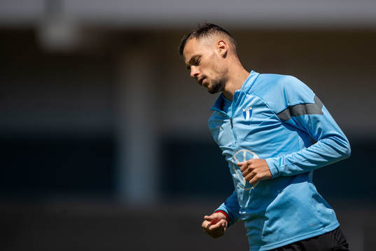 Veljko Birmancevic