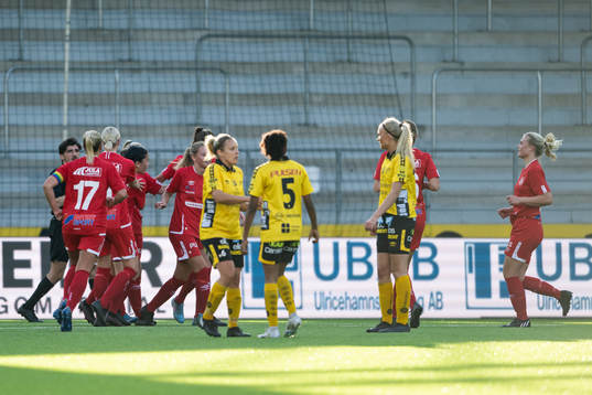 Falköpings spelare jublar