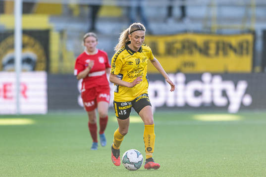 Elfsborgs Saga Andersson