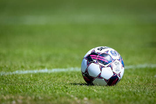 En fotboll