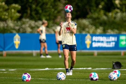 Amanda Ilestedt of the Swedish women's national football
